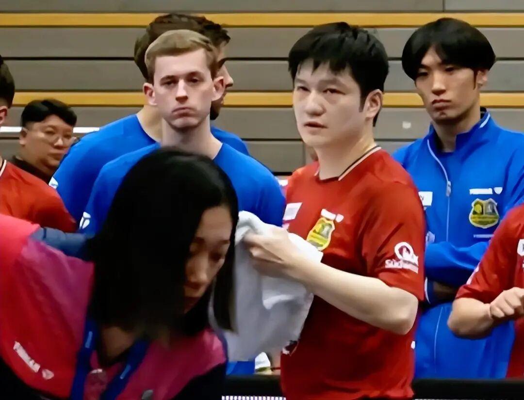 包含法国乒乓球队碾压比利时乒乓球队，樊振东送出助攻的词条